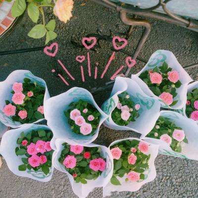 天博平台(中国)官方网站截图